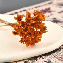 30Pcs 말린 꽃 U 필러 미니 질 스타 국화 꽃 DIY 에폭시 금형 예술 공예 보석 만들기, 03 Orange-30Pcs