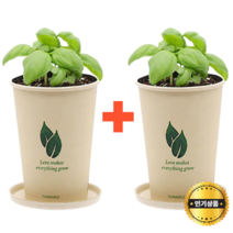 1+1 바질키우기 방울토마토키우기 간편 키트 세트, 바질 풀세트, 방울토마토 풀세트