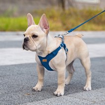 강아지 X형 스웨이드 소형견 중형견 가슴줄 하네스 + 리드줄 세트, 네이비