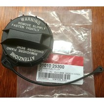 현대 엑센트아반떼소나타 투싼투싼 산타페 I30 IX25 creta 기아 OEM 3101025300 용 연료 필러 캡 어셈블리