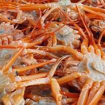 [산지직송 선주직송] 대게 홍게 자숙 홍게 당일조업 3kg 10마리 동해 포항 구룡포 서민갑부 출연, 고급 홍게 3kg 10마리