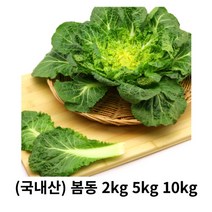 봄동 2kg 5kg 10kg 국내산 산지직송 납작배추 겉절이 쌈배추 김치 진도배추 겉절이배추 무침 쌈채소 나물 봄동배추, 1box