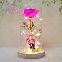 LED 장미 홀로그램 유리돔 카네이션 신랑신부커플 피규어 인테리어무드등 로즈데이 성년의날 커플 신혼부부, 핑크