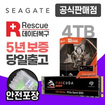 씨게이트 게이밍 M.2 NVMe SSD 530 (PS5 호환), 4TB