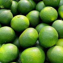 제주 무농약 청귤 풋귤 3kg, 단품