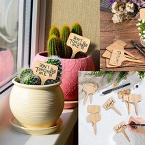 화분이름표 집에서상추키우기 다육이 대나무 10PCS