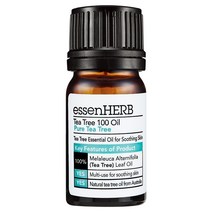 에센허브 티트리 100 오일, 1개, 10ml