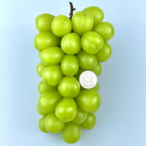 [판다프레시] 영천 샤인머스켓 제철과일 가정용 특등급 선물용 2kg, 상등급 2.1kg(3송이)