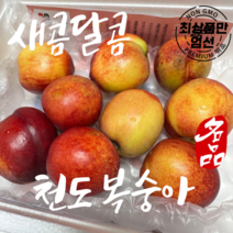 국산 천도복숭아 중과 새콤달콤 복숭아 1kg 2kg, 새콤달콤 천도복숭아 2kg, 1개