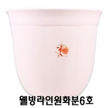 TAO128000(set)웰빙라인원화분6호 29.5x24.5cm 5개