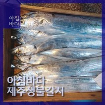 제주 신선 생물 갈치, 갈치(500g), 1개