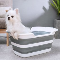 [P1B] 강아지 고양이 스파 반려동물 목욕탕 접이식 애견욕조 / 강아지욕조 강아지목욕탕 강아지스파 미니욕조 접이식욕조 고양이욕조 고양이목욕탕 고양이스파 고양이목욕 강아지목욕 ( P1B / 55989EA ), 그레이그린, 본상품선택