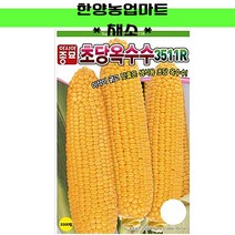 채소-카보초당옥수수 2000립/초당옥수수/신젠타/옥수수/씨앗/종자