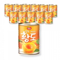 동원 제철담은 복숭아 황도 통조림 2절 400g x12캔