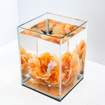 베타플라워 베타꽃침대[하늘하늘꽃침대], 베이비핑크