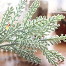 눈내린 듯 오묘한 빛 양각뿔잎 조화 창가 실내 조경 아파트거실인테리어 카페 정원 서재 통로