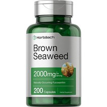 브라운 해초 추출물 캡슐 2000mg 200 알약 푸코 산틴 보충제 비 Gmo 글루텐이 호바흐에 의해 무료