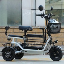 3륜 전기 자전거 성인용 어르신 출퇴근 배달, C. 12Ah약40km