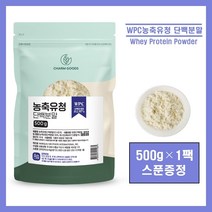 WPC 고함량 농축 유청 단백질 분말 가루 파우더 류신 프로틴 헬스 보충제 포대유청 고단백 미국산 추천 홈쇼핑, 1팩, #영에버그린# 농축유청 500g (스푼증정)