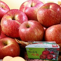 [충주사과] [한터] 9kg (30-34과), 1개, 상세 설명 참조