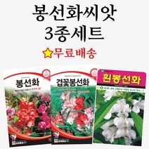 겹꽃 씨앗 3종세트 꽃씨 꽃씨앗 봄꽃씨 봄 여름 가을 겨울 채송화 봉선화 접시꽃