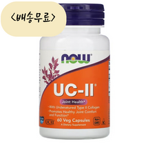 [늘품스토어] 나우푸드 UC2 비변성 2형 콜라겐 60개입, 1개, 60개
