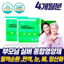 50대 60대 실버 종합 영양제 은행잎 추출물 징코 오메가3 혈액 순환제 눈 뼈 피부 항산화 건강 예방 알약 국산 혈행 혈관 70대 80대 90대 부모님 노인 노년 시니어 할머니, 실버 종합영양제 2박스_4개월+사은품, 2개