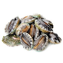 바다소풍 한정수량 완도 참전복 1kg 51-60마리, 1세트, [소중] 완도 참 전복 1kg 31-40마리