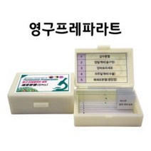 영구프레파라트-세포분열 5매 JUN-교구0048
