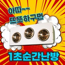 나노전자 욕실난로 NI-B2 화장실난방기 벽걸이 겨울철 온열기2구