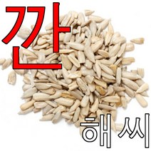 깐 해바라기씨 500g 햄스터 앵무새 다람쥐 사료 밥