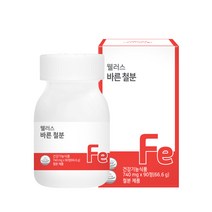 [웰러스] 바른 철분 1박스 (3개월분) /유산균유래 비헴철 No화학부형제, 1병