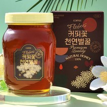 플로비즈 100% 천연벌꿀 1.2kg, 커피꽃꿀 1.2kg