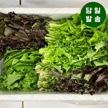 구매평 좋은 야채밀키트 추천순위 BEST 8