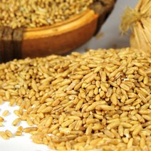 22년 국내산 명품 정읍 햇 귀리 1kg, 단품