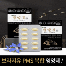 라라 정일품 감마리놀레산 보라지유 pms 비타민 복합 영양제 500mg x 30캡슐(15g) x 4ea, 1개, 500mg x 30캡슐