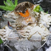 서해 냉동꽃게 몽당꽃게 암 수 1kg 몽당게 꽂개 생꽃게 꽃게철 꽃게시세, 냉동 몽당 숫꽃게 1kg