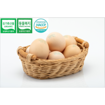 [백봉오골계달걀] <초란>유기축산물인증 동물복지인증 백봉오골계 <초란>, 계란100구
