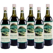 타히티안미라클노니 (6병) 타히티산 발효 노니 원액 주스 750 ml HACCP 품질고집 17년 매우 심각한 건강 문제에도 좋습니다. 문의 환영