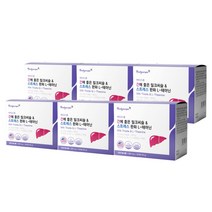 간 리버 LIVER 상복부 긴장 일상 스트레스 초조 불안 해소 아플때 피곤할때 없애는 완화 관리 보호 에 좋은 밀크씨슬 L 테아닌 복합 간장제, 6BOX(960정)