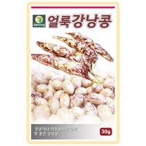 얼룩강낭콩씨앗(왜성) 30g 텃밭작물 가정원예 식물기르기 주말농장 곡물종자