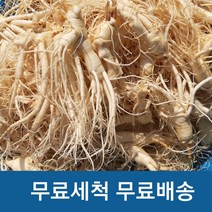 세척인삼 실속형 햇인삼 금산 세척삼 수삼(200g)난발파삼, 세척300g