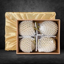 프리미엄 머스크 멜론 메론 특품 인하네, 선물용 머스크 멜론8kg 4수~, 1개