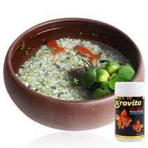 [바보사랑] 천연가습 도자기수반 금붕어키우기세트 중 -2마리포함, 상세 설명 참조, 상세 설명 참조