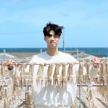 국산 포항 구룡포 자연해풍 반건조 오징어 피데기 10마리, 반건오징어 중1200g(10미)