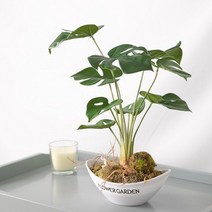 바보사랑 자연의몬스테리아화분set 40cmP 조화 인테리어 FMFUFT.플라워트리, 자연의몬스테리아화분