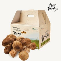순천향 송화버섯 맛있는 국산 생 송화버섯 산지직송, 1box, 순천향 송화버섯 선물세트: 고급형 1kg