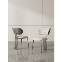 고급 식탁의자 엔틱 프렌치 유럽풍 의자 가벼운 스타일 식당 현대적인 미니멀리스트 북유럽 홈 레스토랑 레저 스테인레스 스틸 편안한 디자이너 백, [04] 맞춤형 색상(최소 주문 수량 2개)