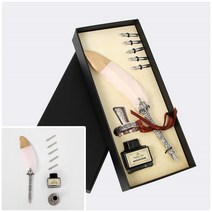 뉴리웹 깃털펜세트 서명용볼펜 교수님만년필 만년필입문용