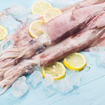 손질통오징어 자연산 손질 통오징어 260gX11팩(총 22미), 11개